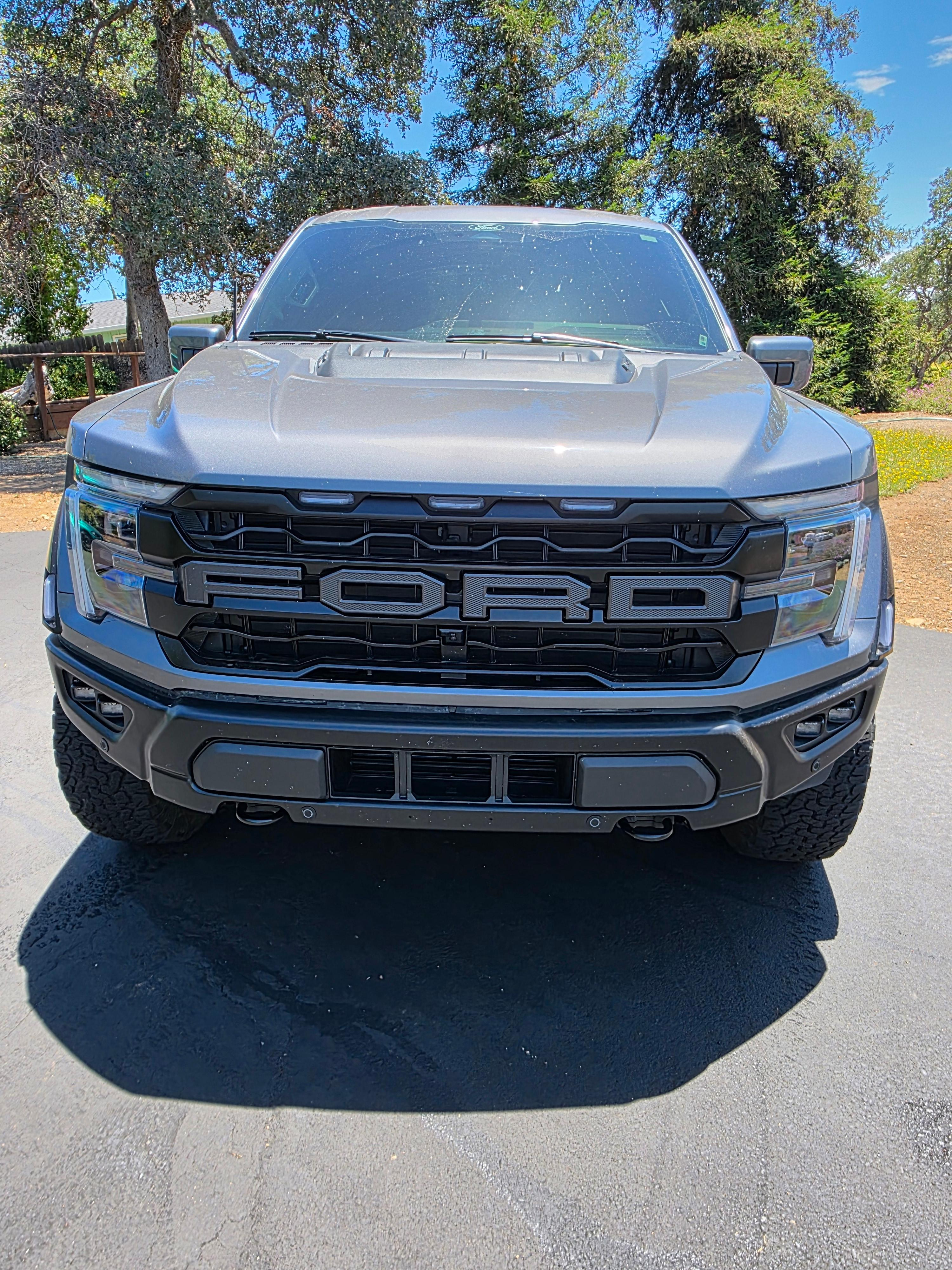 2025 Ford F-150 Raptor image 6